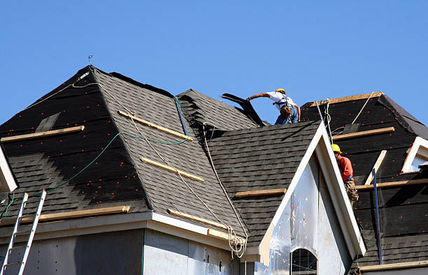 Best Roof Maintenance Services  in Port Barrington, IL