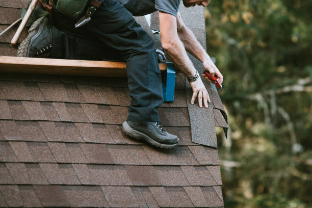 Best Roof Gutter Cleaning  in Port Barrington, IL